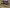 blur (1) Pallet Assorted Telephones