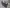 blur (1) File Cabinet