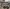 blur Assorted Desktop Printers