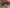 blur (1) Desk