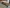 blur (1) Desk