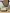 blur Ritter/Midmark 623 Patient Procedure Table