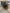 blur (12) Assorted Chairs