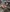 blur (4) School Tables