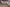 blur Assorted Lab