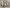 blur Surgical Instrument Lot #4728