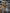 blur (8) Wooden Spools