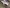 blur (3) Nanosonics Trophon2 Ultrasound Probe Disinfection Systems