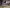 blur (1) TransCart Patient Discharge Cart
