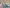 blur Rusch Greenlight Laryongoscope Blades (New)