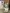 blur GE Datex Ohmeda Aestiva 5 Anesthesia Machine
