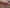 blur Assorted Furniture 