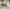 blur Janitorial Lot