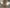 blur (1) Table  