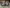 blur Set of (2) Chairs