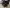 blur (18) Assorted Computer Monitors