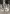 blur Approximately 30 Paint Cans