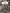 blur (1) Custom Biogenic Systems V1500-AB Liquid Nitrogen Cryogenic Storage Freezer and (1) Dewar