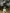 blur (1) Nikon Eclipse TE300 Microscope With (1) Nikon Mercury Lamp Power Supply And (4) Objectives