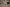 blur Assorted Lab