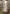blur (1) Rolling Cage