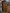 blur (1) Wooden Bookshelf