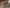 blur (1) Desk