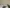 blur Surgical Instrument Lot #4723