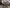 blur (55) Assorted Computers (HARD DRIVES REMOVED)