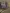 blur (37+) Assorted CPU's, No Hard Drives