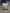 blur (1) MVE Cryosystem 750 Nitrogen Tank