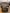 blur Assorted Furniture 