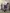 blur (43) Assorted Computers (HARD DRIVES REMOVED)