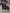 blur (10) Assorted Dell Computers (HARD DRIVES REMOVED)