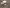 blur (1) Promega Lot