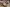 blur Assorted Lab