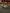 blur (2) Brown Chairs