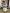 blur Drager Fabius GS Premium Anesthesia Machine