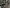 blur Assorted Lab