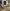 blur Assorted Office furniture