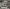 blur Printer Lot