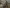 blur (37+) CPU's
