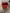 blur (78) Sharps Containers 