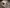 blur (1) Bio-Rad Chemidoc Touch Imaging System