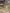 blur Assorted Lab