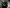 blur (2) Friedrich S-Coronar Lenses