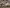 blur Assorted Lab