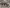 blur (26) Assorted Computers (HARD DRIVES REMOVED)