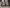 blur Set of (2) Chairs