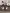 blur (2) Microscopes